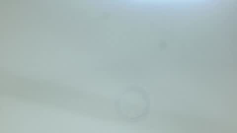 allison___taylor online show from February 2026 02:40:01 AM