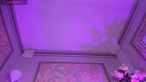 Snapshot of allisonsweet4u_ chatting on May 2026 04:06:02 AM Allison online show from May 2026 04:06:02 AM