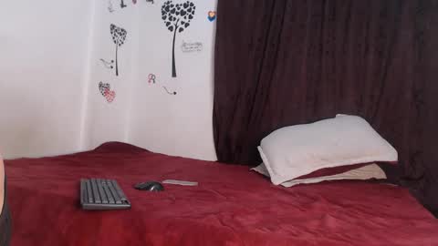Snapshot of allyka_transsm chatting on April 2026 04:01:01 AM Allyka online show from April 2026 04:01:01 AM