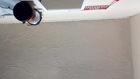 almightyjesos online show from October 2025 07:14:02 PM