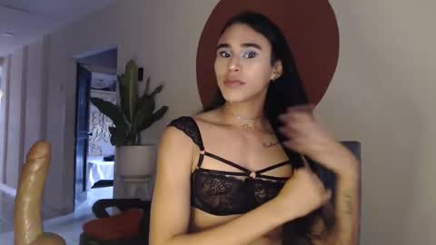 STEPHAN  online show from December 2025 11:59:02 AM