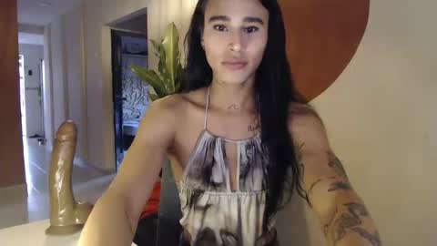 STEPHAN  online show from January 2026 11:47:01 AM