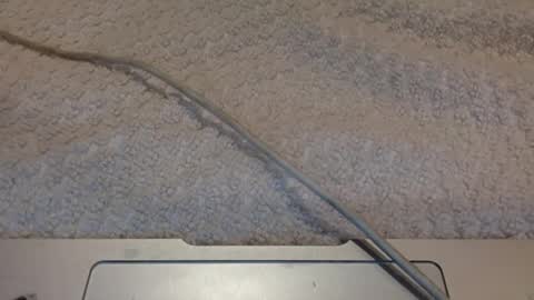 ALongwhitedick online show from March 2025 09:45:02 PM