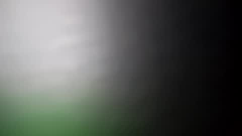 Snapshot of alostmale chatting on February 2025 07:34:02 AM alostmale online show from February 2025 07:34:02 AM