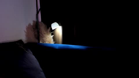 Alyssa  I will be online December 2 at 2000 UTC  online show from December 2024 11:08:01 PM