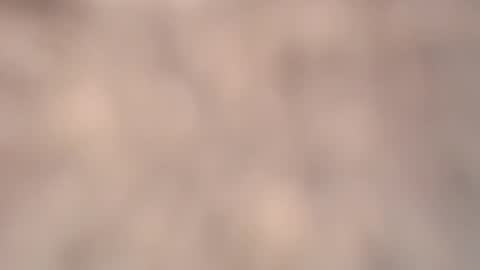 Snapshot of amadamar chatting on March 2026 02:24:02 PM valentia online show from March 2026 02:24:02 PM