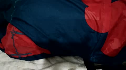 amadeusz online show from December 2024 01:34:01 AM