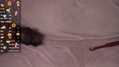 Snapshot of amandaafire chatting on December 2024 05:52:02 AM Amanda online show from December 2024 05:52:02 AM