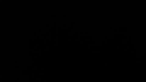 Amarantha online show from January 2025 01:55:02 PM