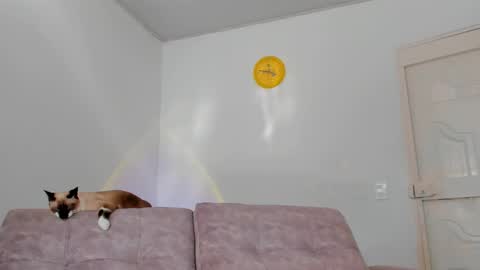 Snapshot of amatiistur chatting on February 2025 08:54:01 PM Tammy online show from February 2025 08:54:01 PM