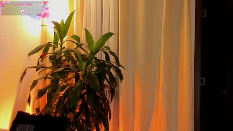 Amatista online show from October 2025 11:25:02 PM