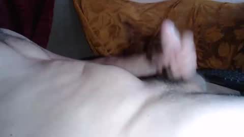 amazingcuteboy845 online show from May 2026 07:42:02 PM