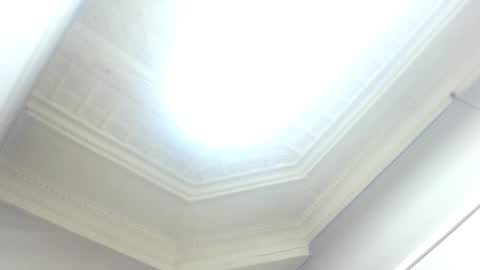 amazingshazz online show from May 2026 04:04:02 PM