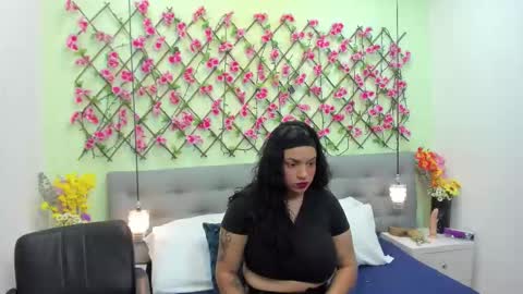 Snapshot of ambar85 chatting on November 2025 03:49:02 AM ambar85 online show from November 2025 03:49:02 AM