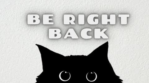 AmbarSantany  online show from January 2025 01:58:01 PM