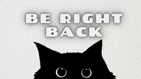 AmbarSantany  online show from January 2025 02:08:02 PM