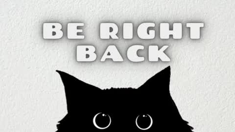 AmbarSantany  online show from February 2025 02:51:02 AM