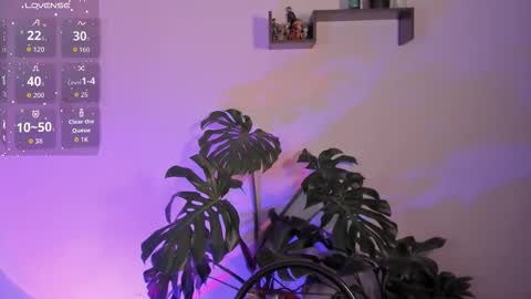 Vivi  online show from January 2026 04:50:01 AM