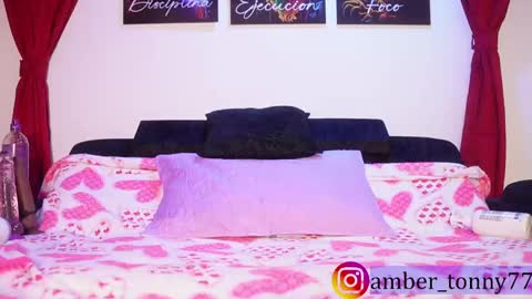     online show from November 2025 09:42:02 AM