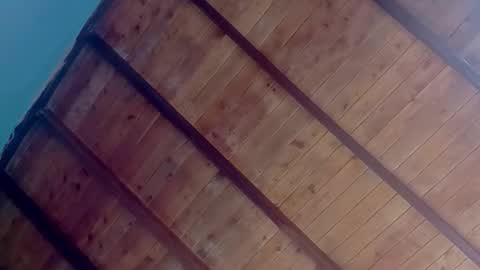 Amelia  Lucas online show from October 2025 03:19:02 PM