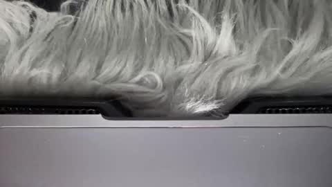 Amelia online show from March 2026 06:58:02 PM