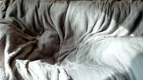 Olive  Walter online show from October 2025 05:42:01 PM