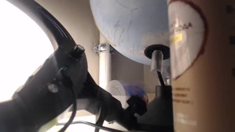 miss unforgettable online show from February 2025 08:48:01 AM