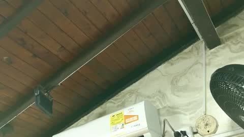 Snapshot of amy_greenee chatting on March 2026 11:34:02 AM amy_greenee online show from March 2026 11:34:02 AM