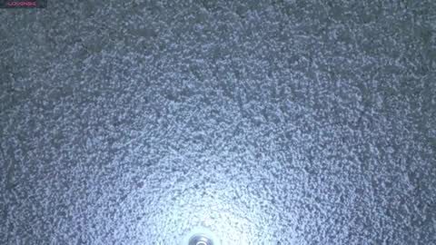 Amylanee69 online show from March 2026 01:20:01 AM