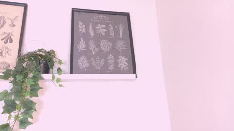 Snapshot of amypalmmer chatting on February 2026 11:54:01 AM AMMY online show from February 2026 11:54:01 AM