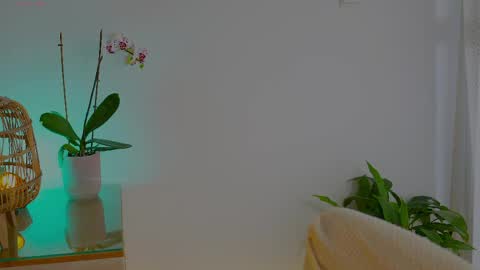 Snapshot of anabelcurvy chatting on May 2026 09:58:02 AM anabelcurvy online show from May 2026 09:58:02 AM