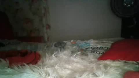 anabella_00 online show from February 2025 02:06:02 AM