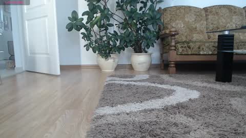 Ana online show from January 2025 08:00:01 AM