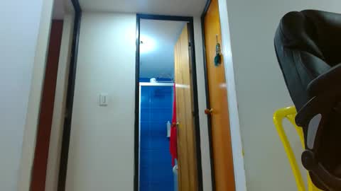 anaids online show from November 2025 02:30:01 PM