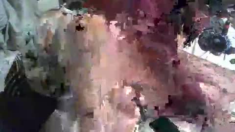 kinkylilanalslut online show from January 2025 11:37:02 AM