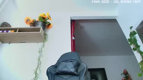 ana  online show from November 2025 10:07:01 AM