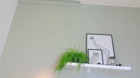 Kendra  online show from November 2025 10:14:01 AM