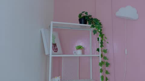 Kendra  online show from January 2026 09:01:01 AM