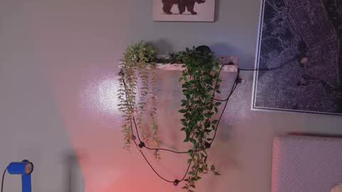 Kendra  online show from February 2026 10:16:02 AM