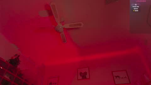 Andre Cole online show from February 2025 05:36:01 AM