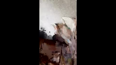 andresvm4796 online show from April 2026 08:06:02 AM