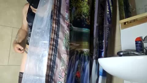 Snapshot of andrewo4277 chatting on December 2024 04:49:01 PM andrewo4277 online show from December 2024 04:49:01 PM