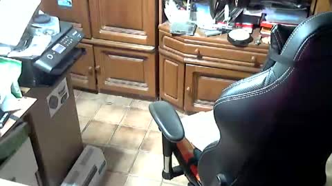 androgynia online show from October 2025 11:57:02 AM