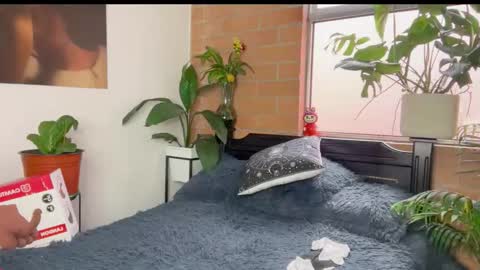 Andy online show from March 2026 12:22:01 PM