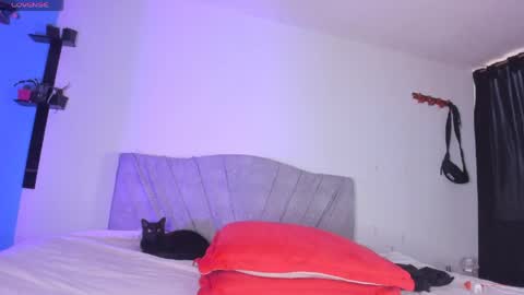 Snapshot of andy_naughty1 chatting on May 2026 12:00:02 PM Andy online show from May 2026 12:00:02 PM