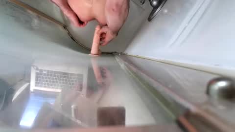 andybadass online show from March 2025 12:37:01 PM