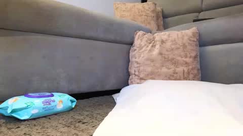 Anell online show from November 2025 04:01:02 AM