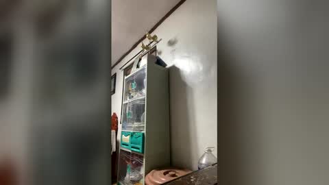 Snapshot of ange011 chatting on March 2026 06:06:02 AM ange011 online show from March 2026 06:06:02 AM