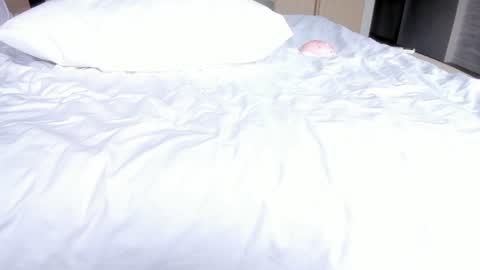 Snapshot of angel_andreww chatting on July 2026 06:33:03 AM angel_andreww online show from July 2026 06:33:03 AM