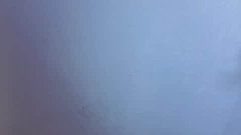 Snapshot of angel_dragun chatting on May 2026 04:31:01 AM Angel-dragun online show from May 2026 04:31:01 AM